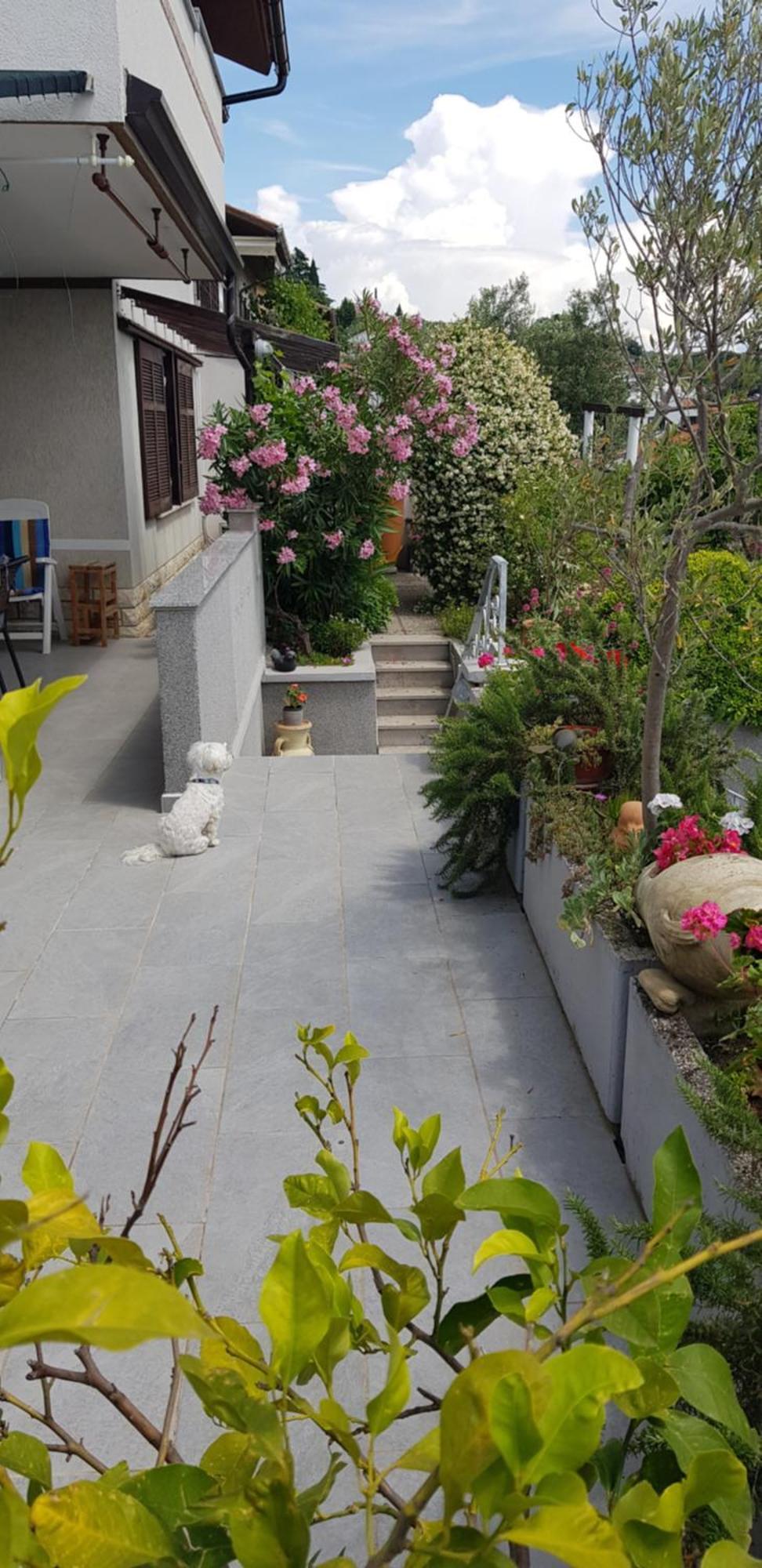 Apartament Tramontana Lucija Zewnętrze zdjęcie