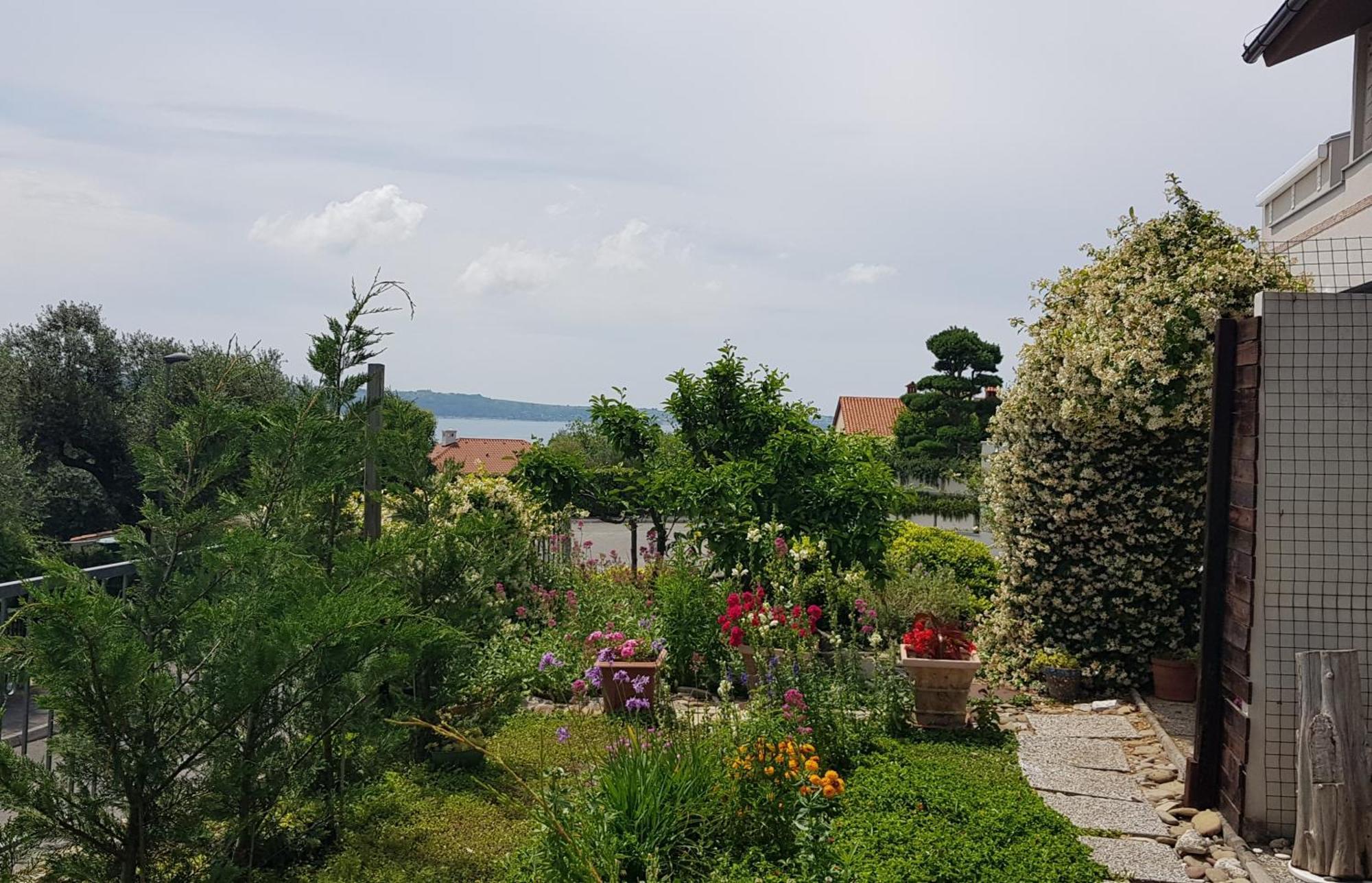 Apartament Tramontana Lucija Zewnętrze zdjęcie